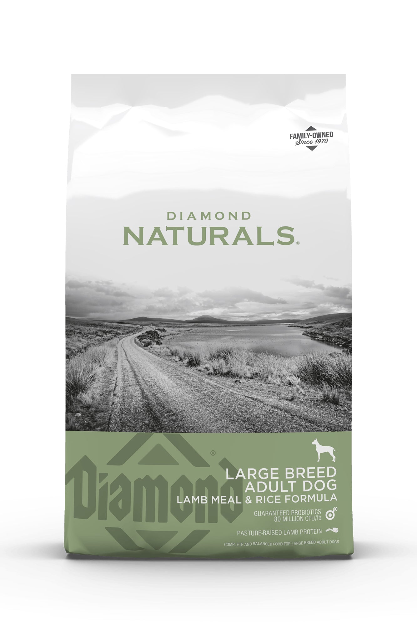 Diamond Naturals Lamb and Rice Dry Dog Food in Austin, Texas