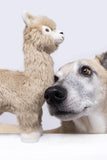 Fluff and Tuff Inca Alpaca Dog Toy