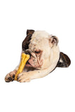 QT Collagen Bone Dog Chew