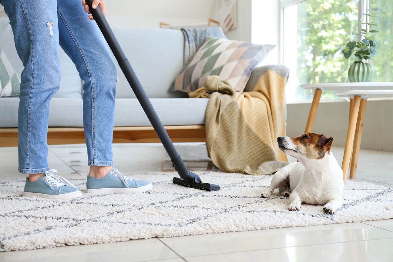 Do's & Don'ts of Spring Cleaning with Pets Tomlinson's Feed