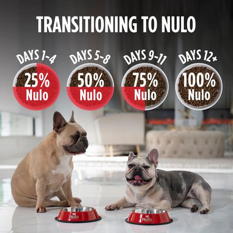 Nulo Frontrunner Turkey, Trout and Spelt Dry Dog Food in Austin
