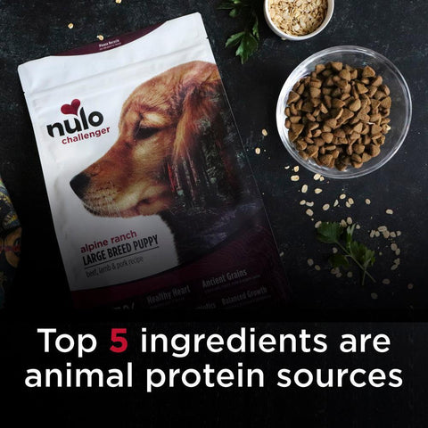 Nulo Challenger Alpine Ranch Large Breed Puppy Food in Austin, Texas –  Tomlinson's Feed