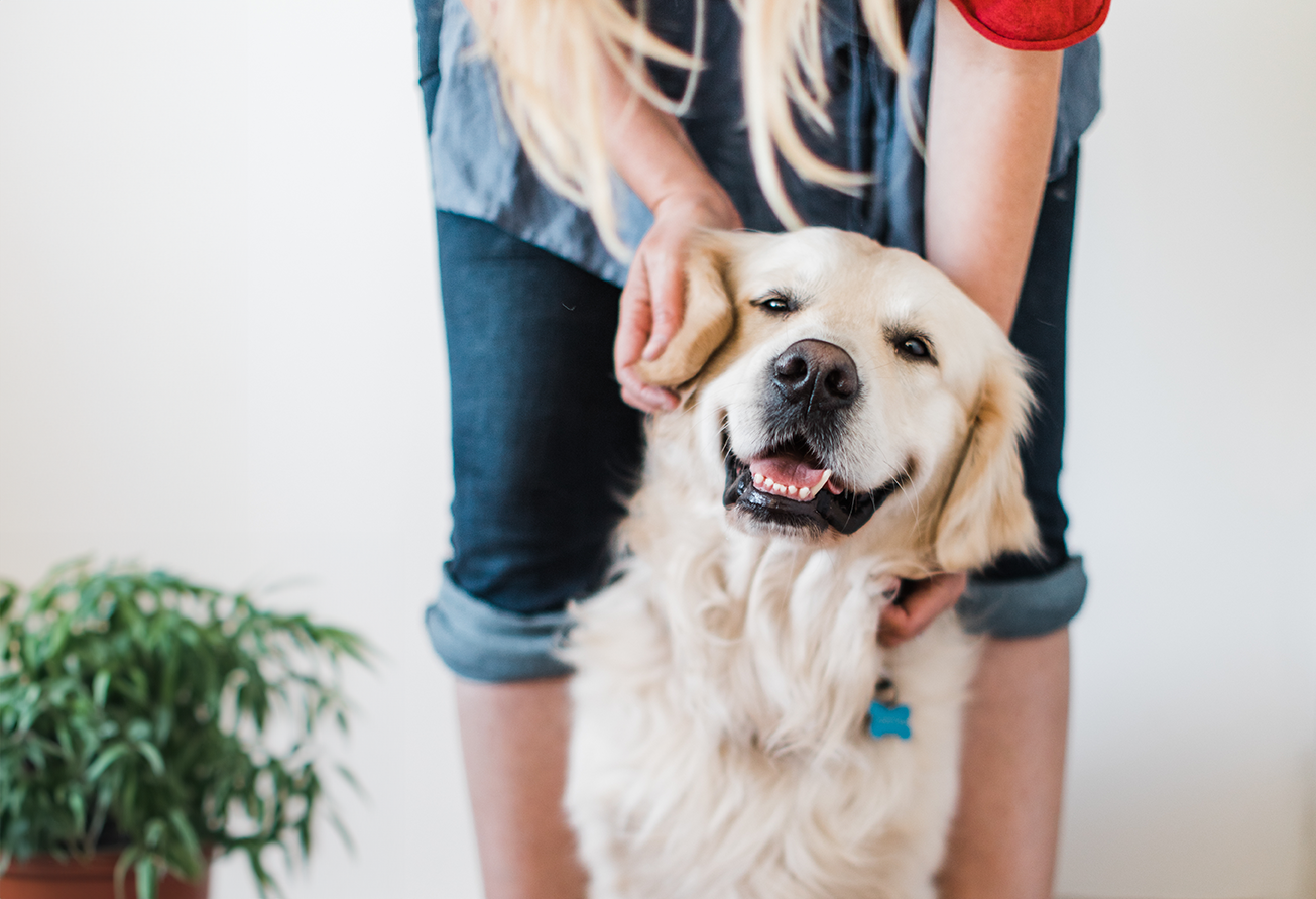 Tomlinson s Feed Austin s Local Trusted Pet Store