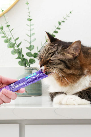 Ark Naturals Kiss Me-ow Chicken Lickable Cat Treats in Austin