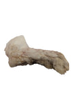 Furever Fierce Rabbit Feet Freeze-Dried Dog Treats