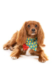 FuzzYard Merry Quackmas Holiday Bandana Collar Set