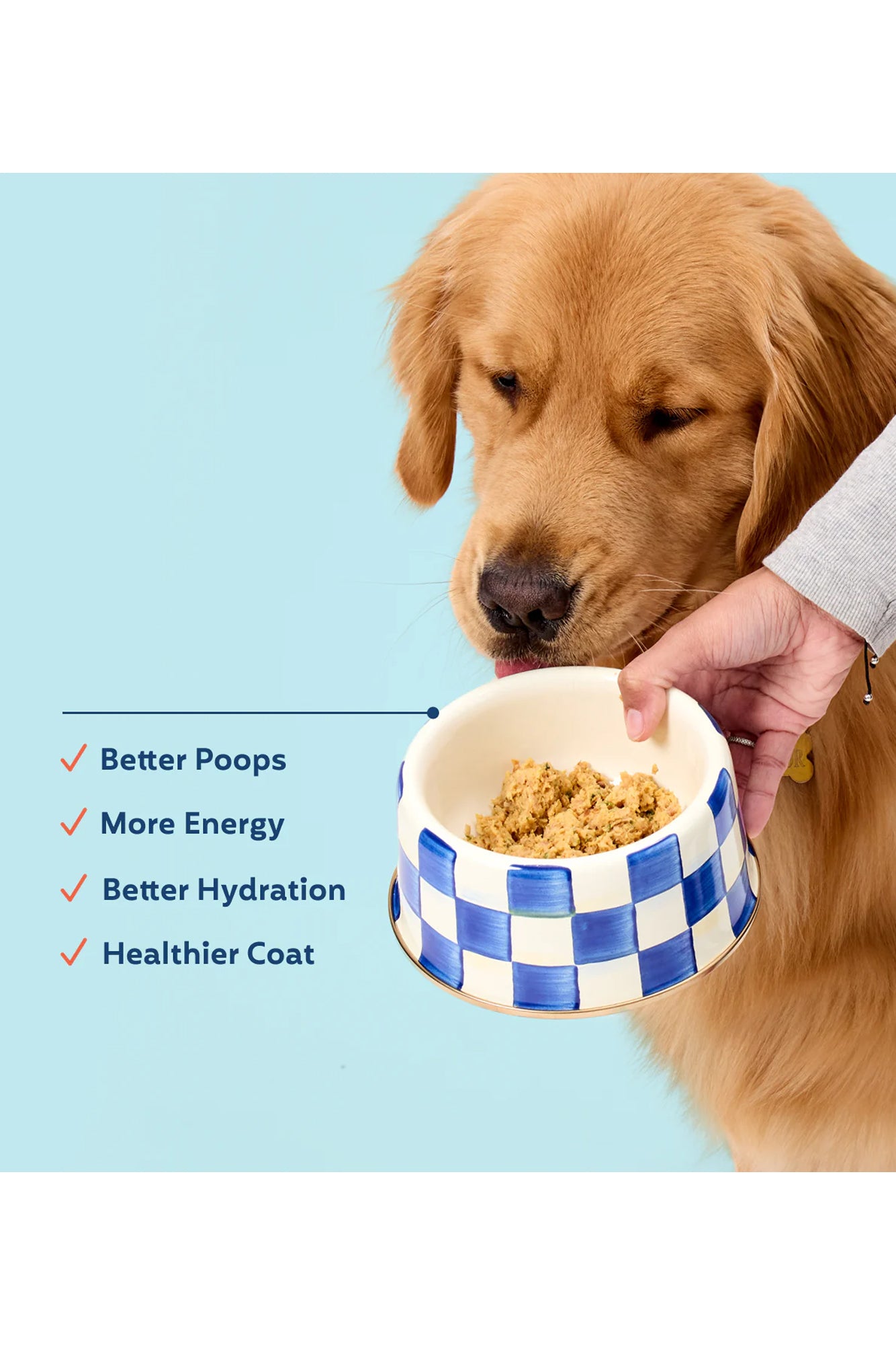 My Perfect Pet Knight's Beef and Vegetable Gently Cooked Dog Food