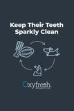 Oxyfresh Dental Chew Dog Toy