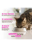Rawz 10+ Essentials Fish and Dehydrated Fish Dry Cat Food