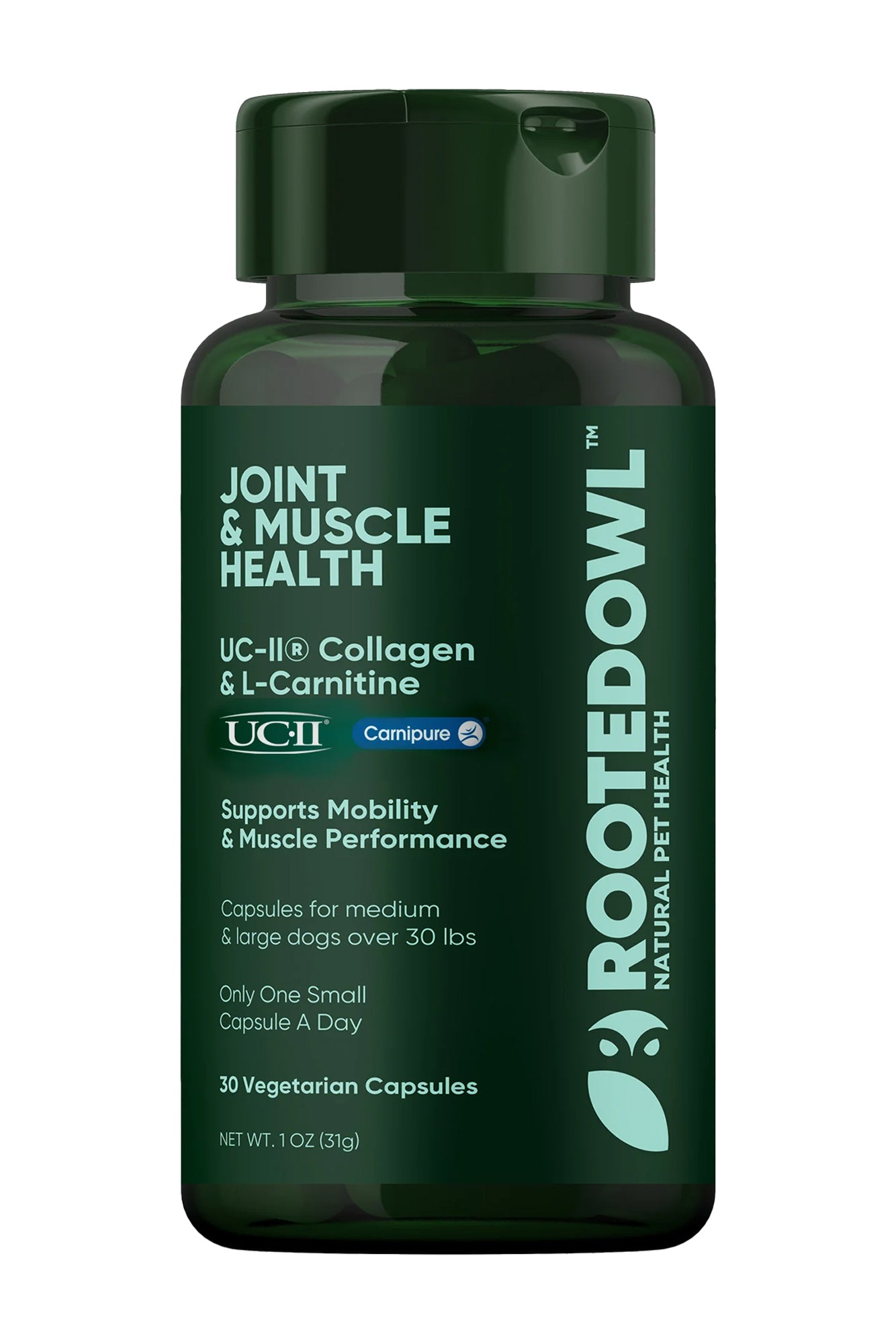 gnc total lean triple strength l carnitine liquid GNC Total Lean Triple Stength L-Carnitine Liquid - Fruit Punch
