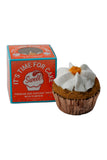 Swell Gelato Pumpkin Frozen Pupcake