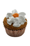 Swell Gelato Pumpkin Frozen Pupcake