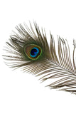 ThoozyPet Peacock Feather Cat Toy - individual feather