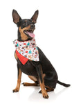 FuzzYard Tinsel Time Holiday Bandana Collar set