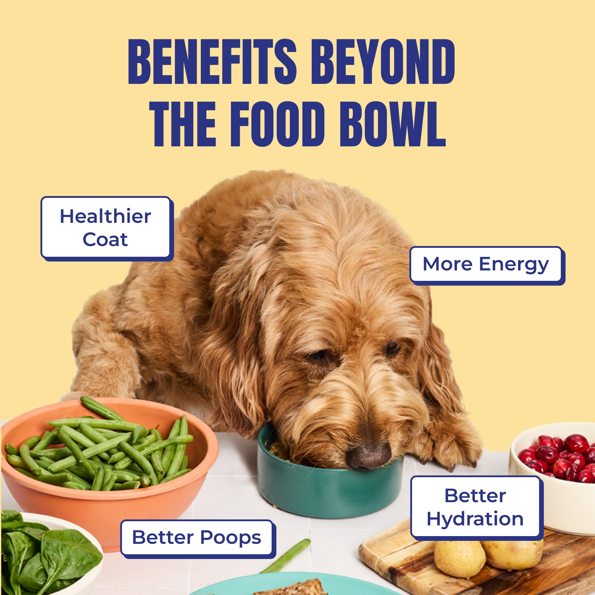 My Perfect Pet Low Glycemic Charlie's Chicken Gently Cooked Dog Food