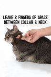 ActivPhy Hip + Joint Mobility Collar for Cats