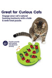 Catstages Puzzle and Play Buggin Out Cat Toy