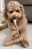 Tall Tails Bully Stick Holder