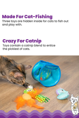 Catstages Hide and Seek Fish Bowl Cat Toy Set in Austin, Texas