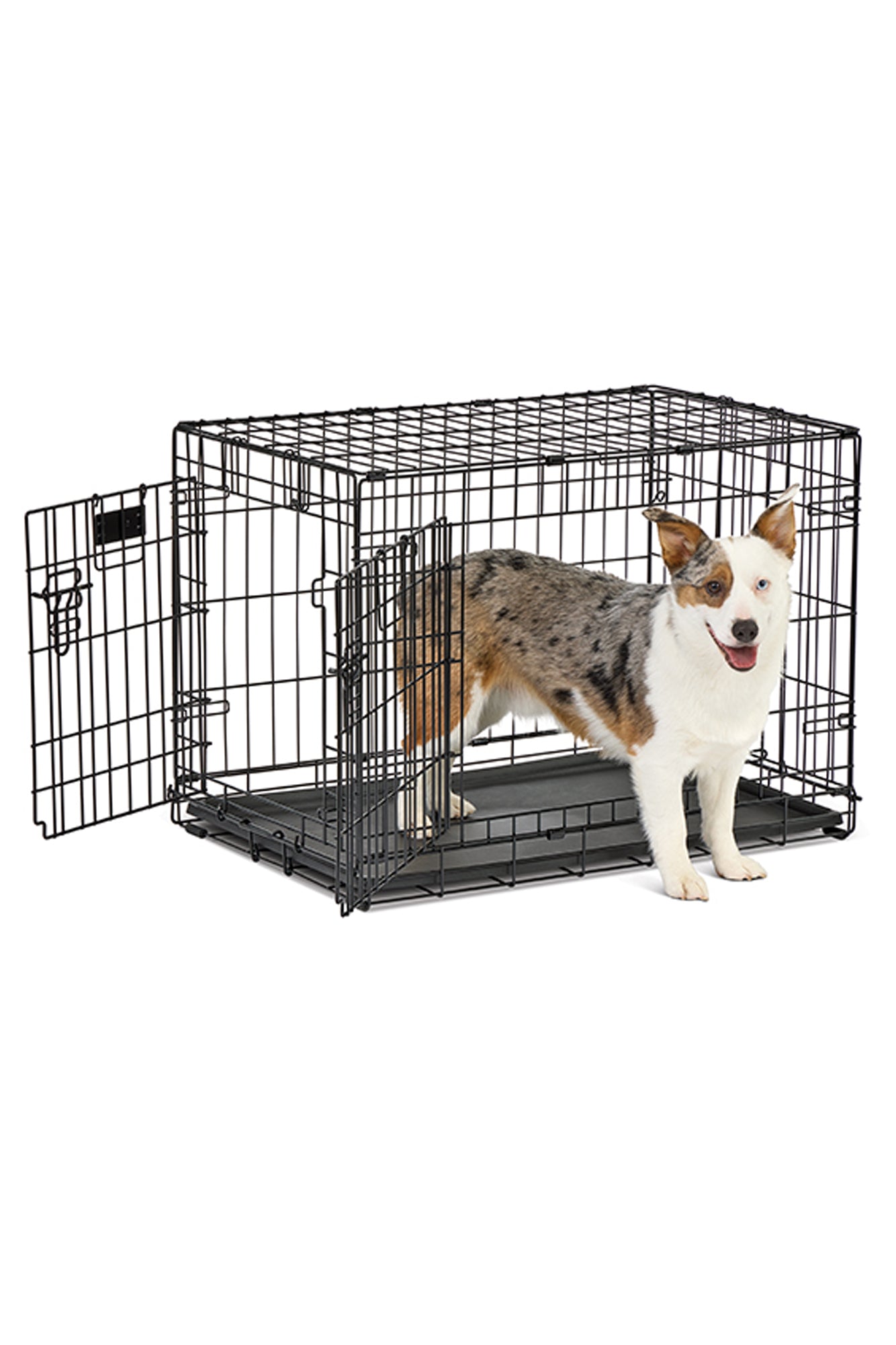 Contoured Insert Contoured Dog Crate Inserts - Gallery & Information - Matthew Taylor
