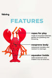 FabDog Lobster Floaties Dog Toy