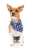 FuzzYard 'Pluto Pup' Dog Bandana