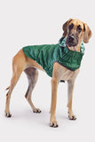 GF Pet Reversible Green Cactus Raincoat