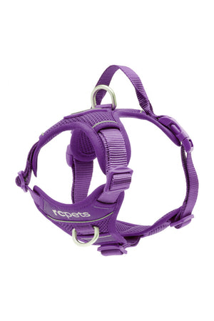 momentumpurple_450x450.jpg?v=