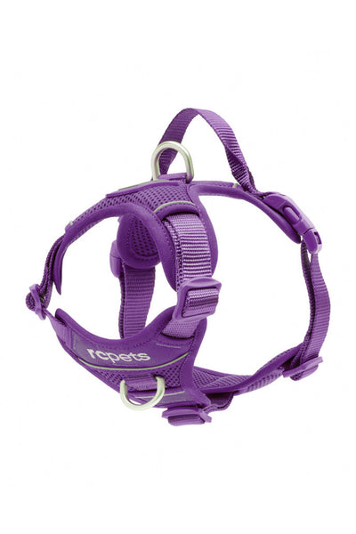 momentumpurple_grande.jpg?v=