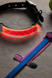 Nite Ize Rechargeable LED Collar Cover