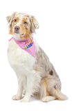 Huxley and Kent Party Time Pink Bandana