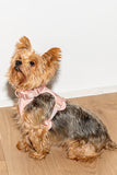 Wild One Blush Dog Harness