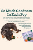 Woof Pupsicle Beef and Peanut Butter Calming Refill Pops