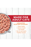 Instinct Longevity Beef Bites Raw Senior Cat Food Guaranteed Nutrition