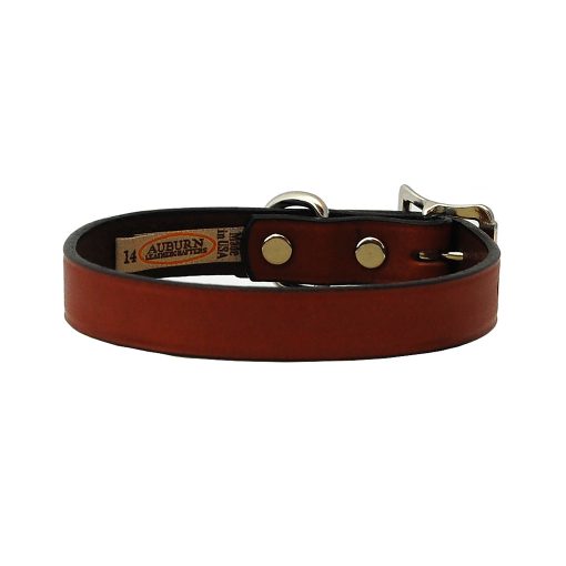 Padded Leather Collar - Black - Auburn Leathercrafters