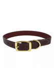 Circle T Latigo Leather Town Dog Collar with Brass Hardware