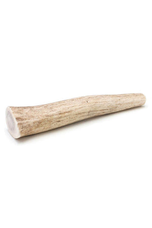 Antler Chewz Whole Deer Antler Dog Chew in Austin, Texas