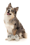 FuzzYard Retro PawStation Controller Dog Toy
