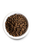 Open Farm Wild-Caught Salmon and Ancient Grains Dry Dog Food Kibble