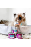 Cat in a bed with Stella and Chewy's Tuna and Mackerel Shreds Canned Cat Food
