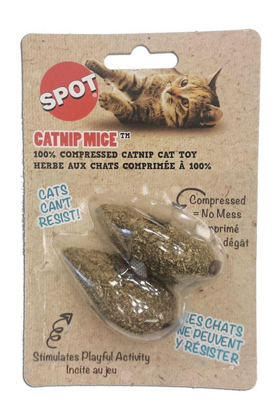 Compressed shop catnip toy